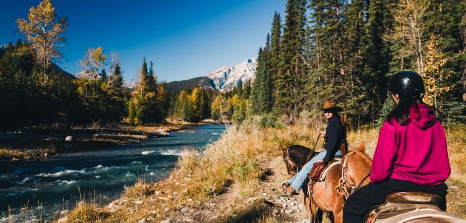 Voyage avec animaux au Canada en 2026 : guide complet pour traverser le Québec avec votre compagnon