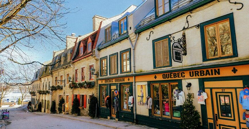 Toilettage hivernal du chat au Québec en 2026 : guide complet pour un félin rayonnant sous le froid nordique