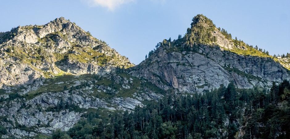Bernois de montagne au Québec en 2026 : guide complet pour élever ce géant des montagnes sous le froid canadien